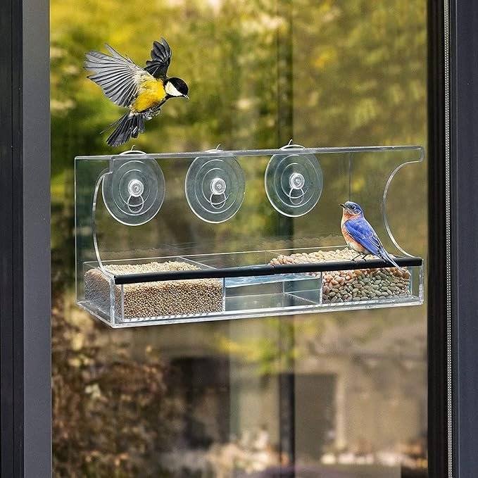 Window Bird Feeder